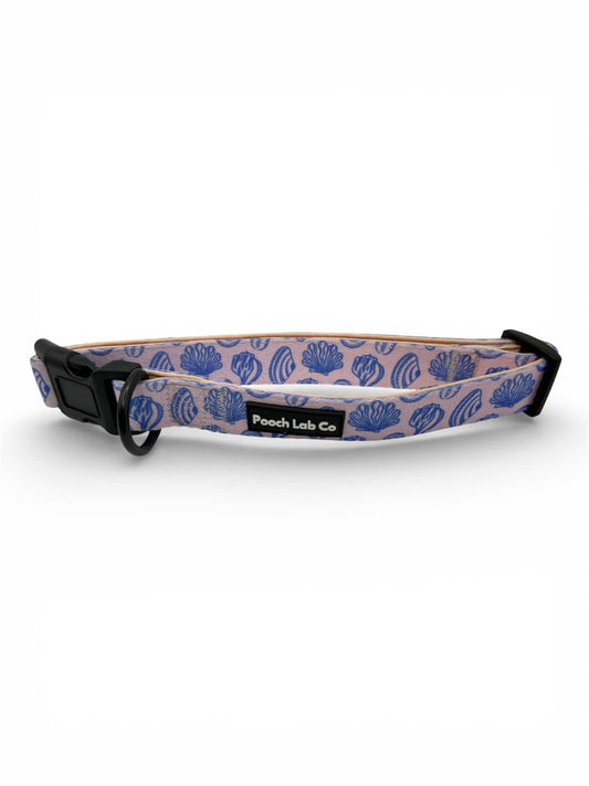 Seashells Dog Collar