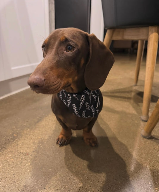 Thunderbolt Bandana