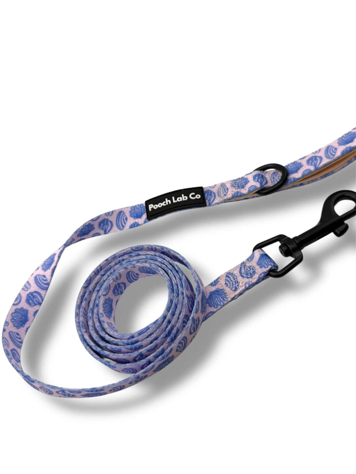 Seashells Dog Lead