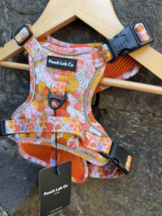 Autumn Floral Dog Harness