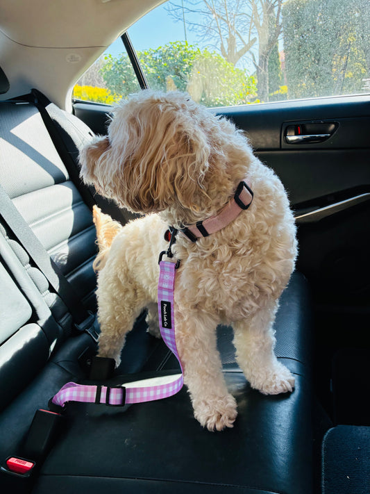 Pink Gingham Seatbelt