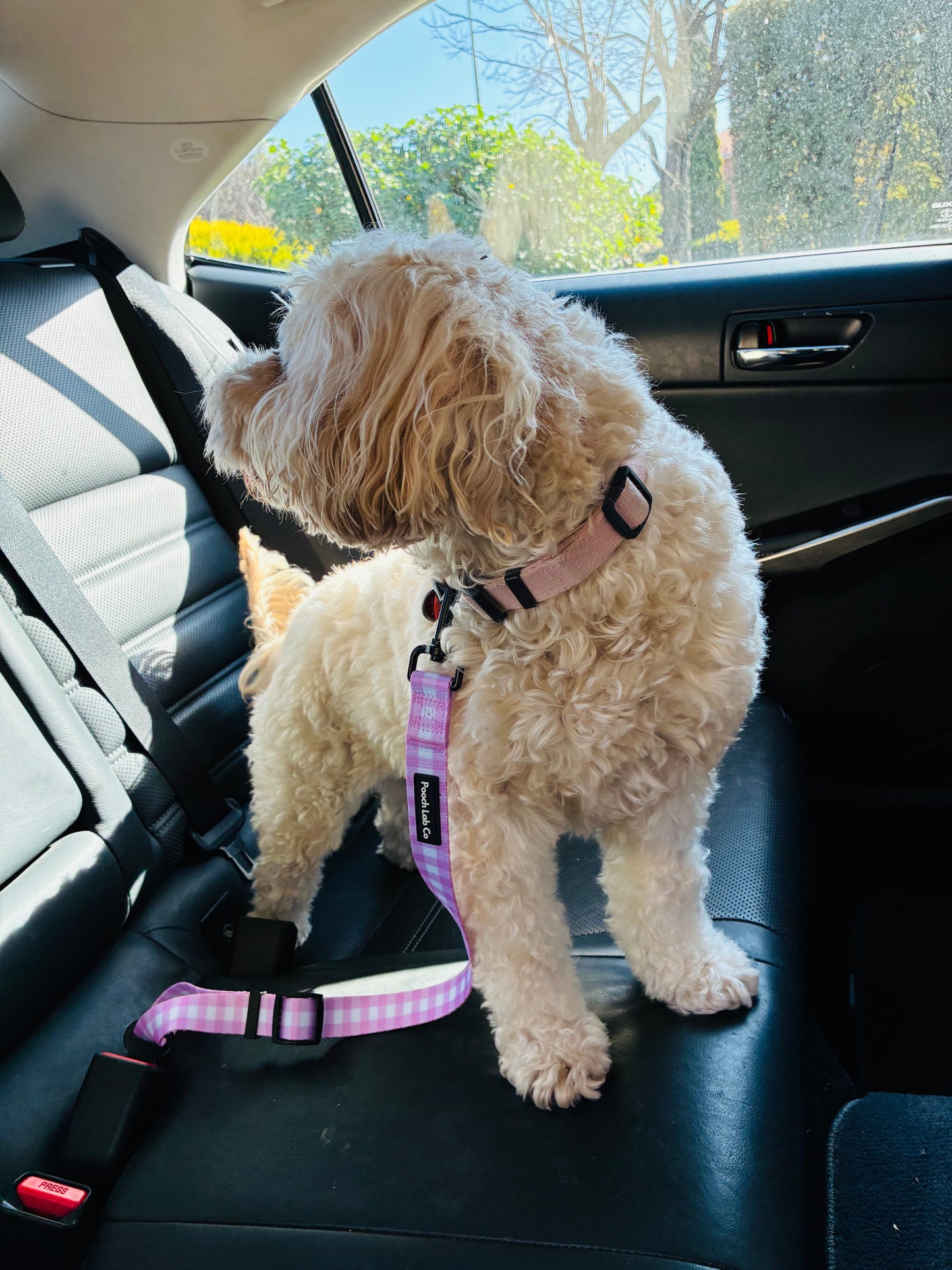 Pink Gingham Seatbelt