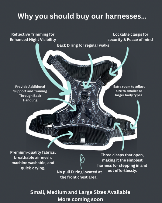 Thunderbolt Dog Harness