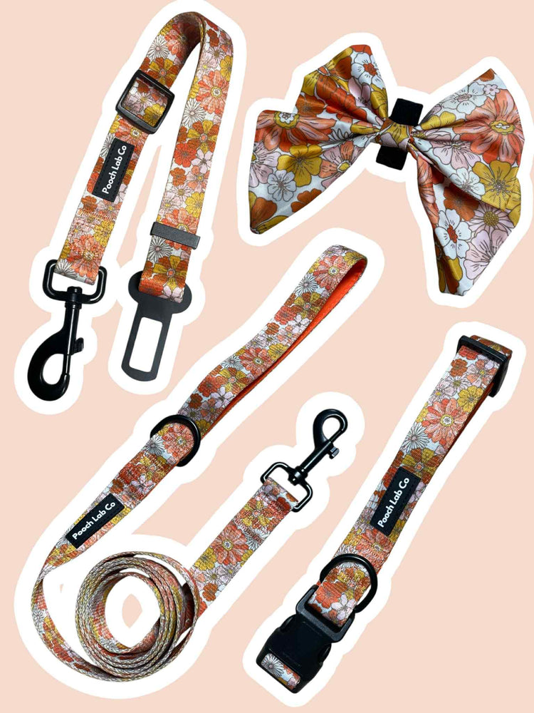 Autumn Florals Collection