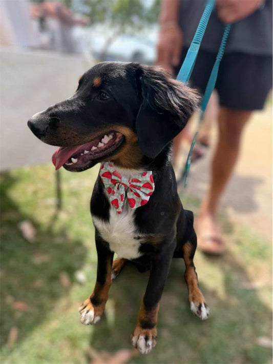 Strawberry Gingham Sailor Bow Tie