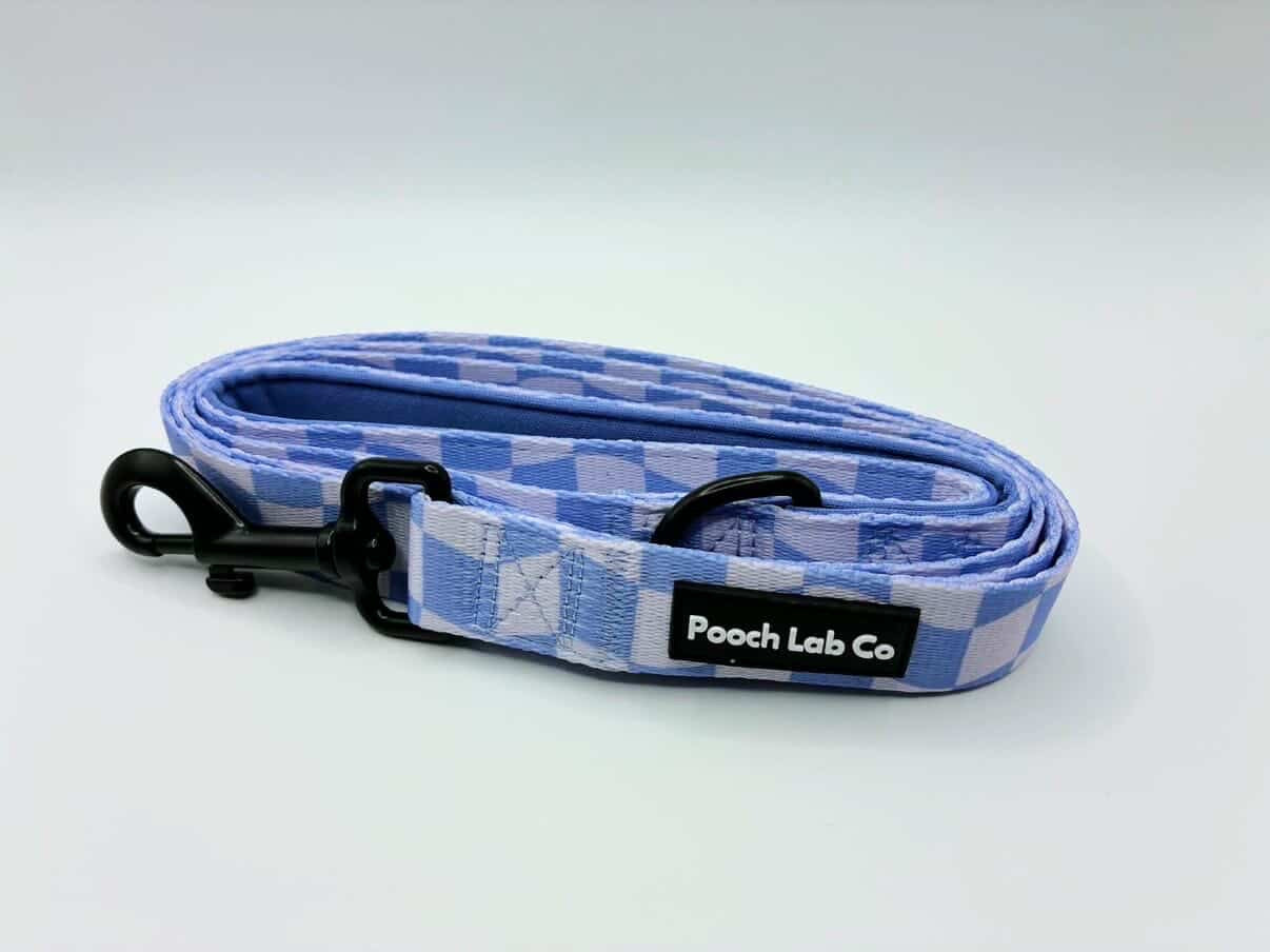 Groovy Gingham Dog Lead