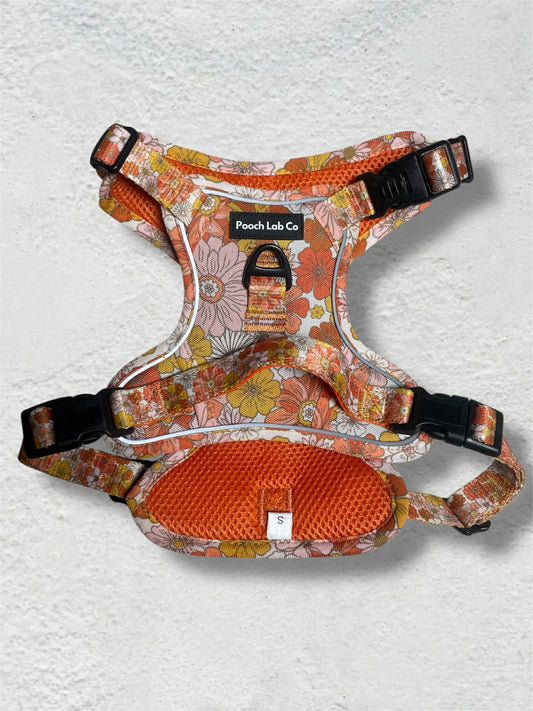 Autumn Floral Dog Harness