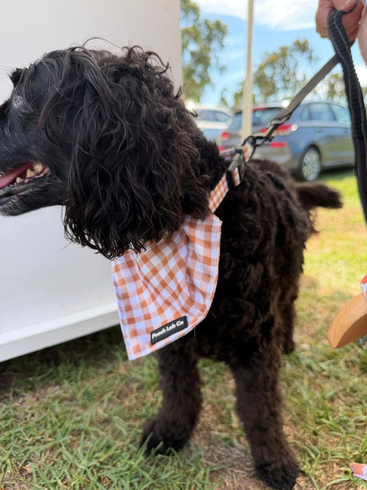 Mocha Gingham Bandanna