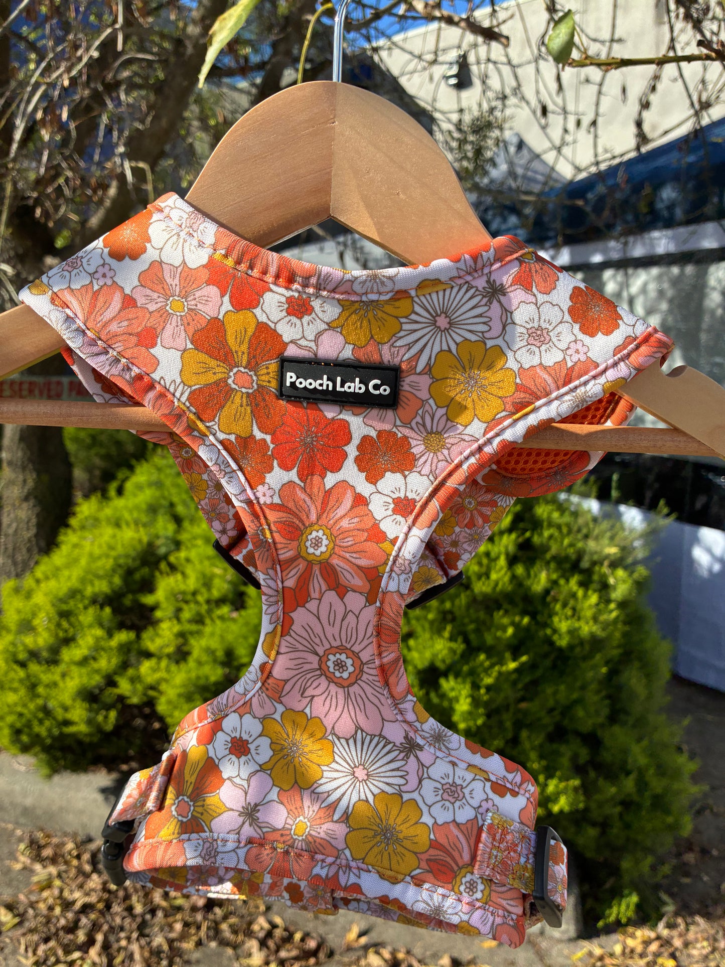 Autumn Floral Adjustable Dog Harness