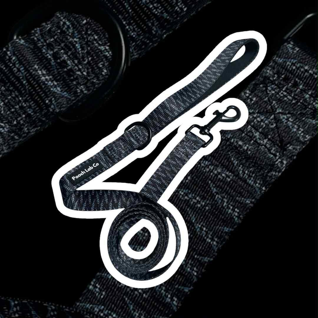Thunderbolt Dog Lead