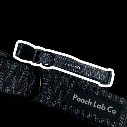 Thunderbolt Dog Collar