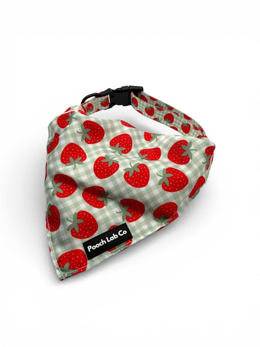Strawberry Gingham Bandanna