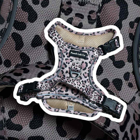 Savannah Style Harness