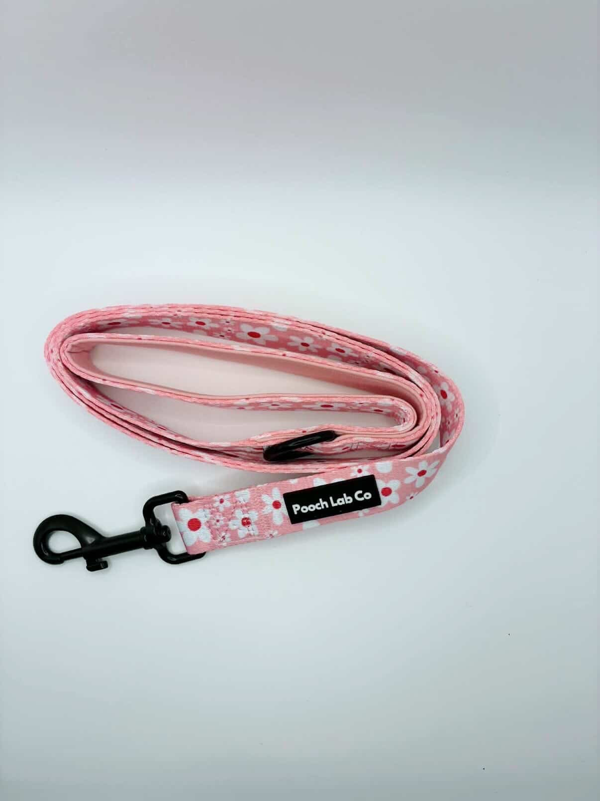 Juliet Dog Lead