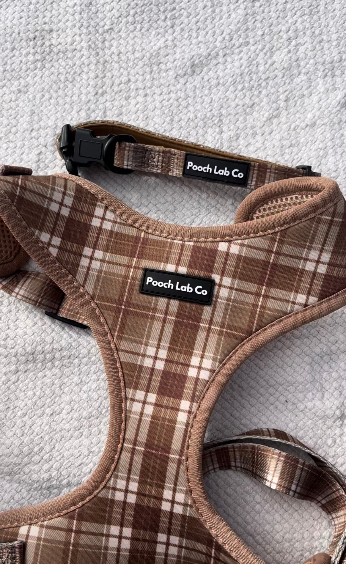 Tartan Dog Collar