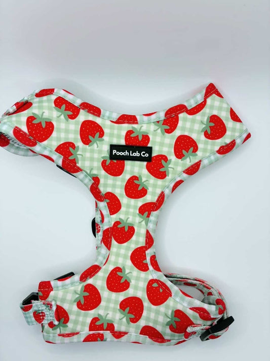 Strawberry Gingham Dog Harness