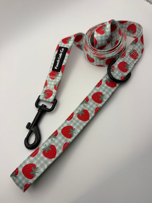 Strawberry Gingham Dog Lead