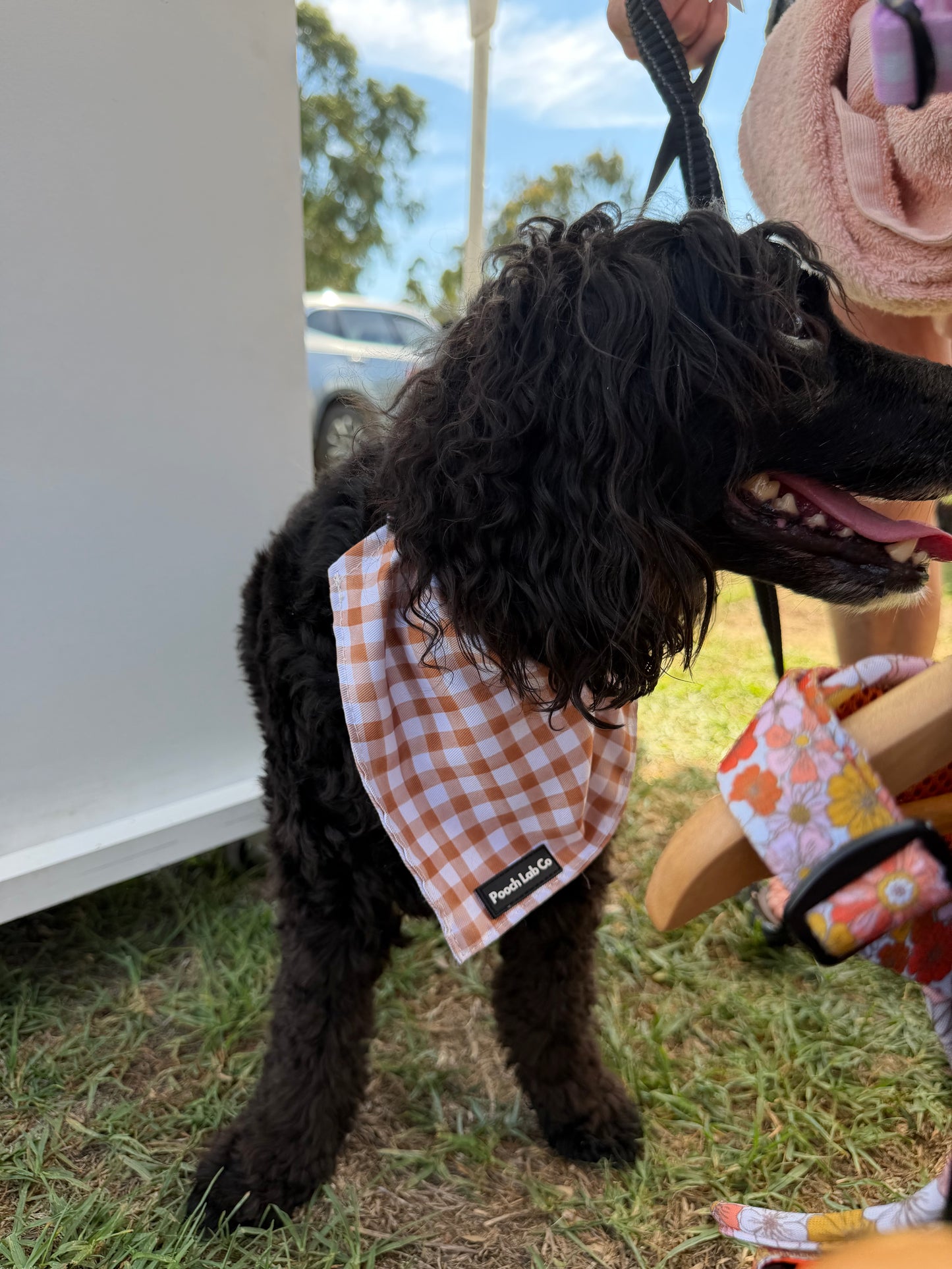 Mocha Gingham Bandanna