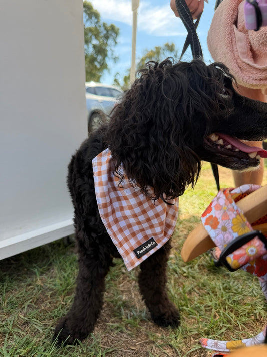 Mocha Gingham Bandanna