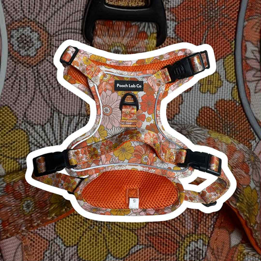 Autumn Floral Dog Harness