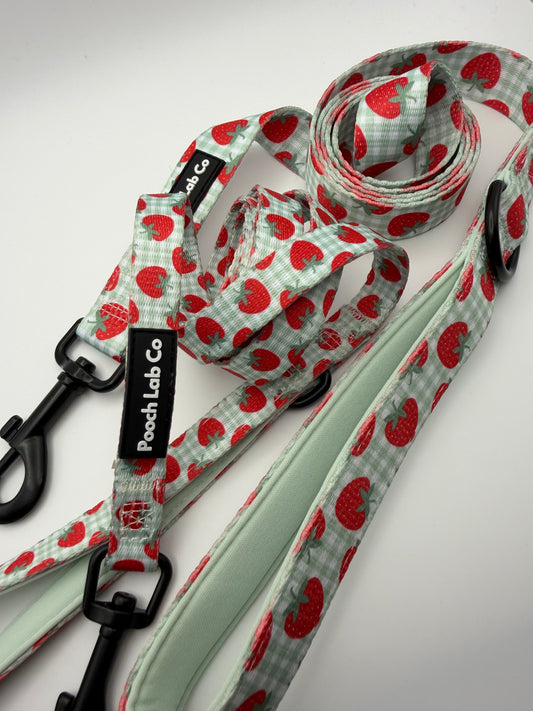 Strawberry Gingham Dog Lead
