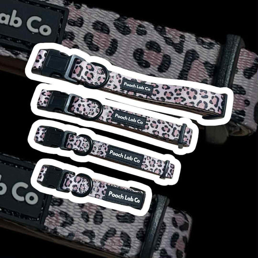 Savannah Style Dog Collar