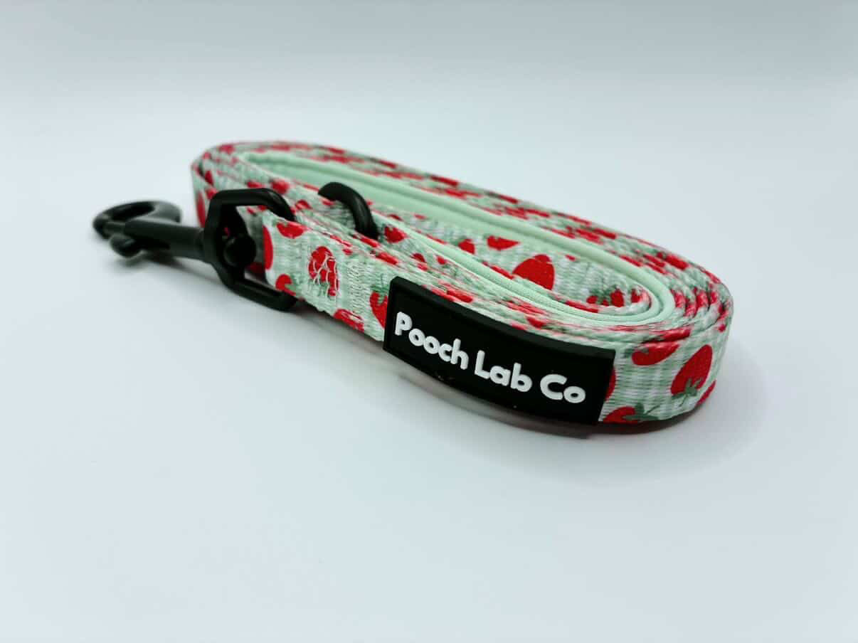 Strawberry Gingham Dog Lead