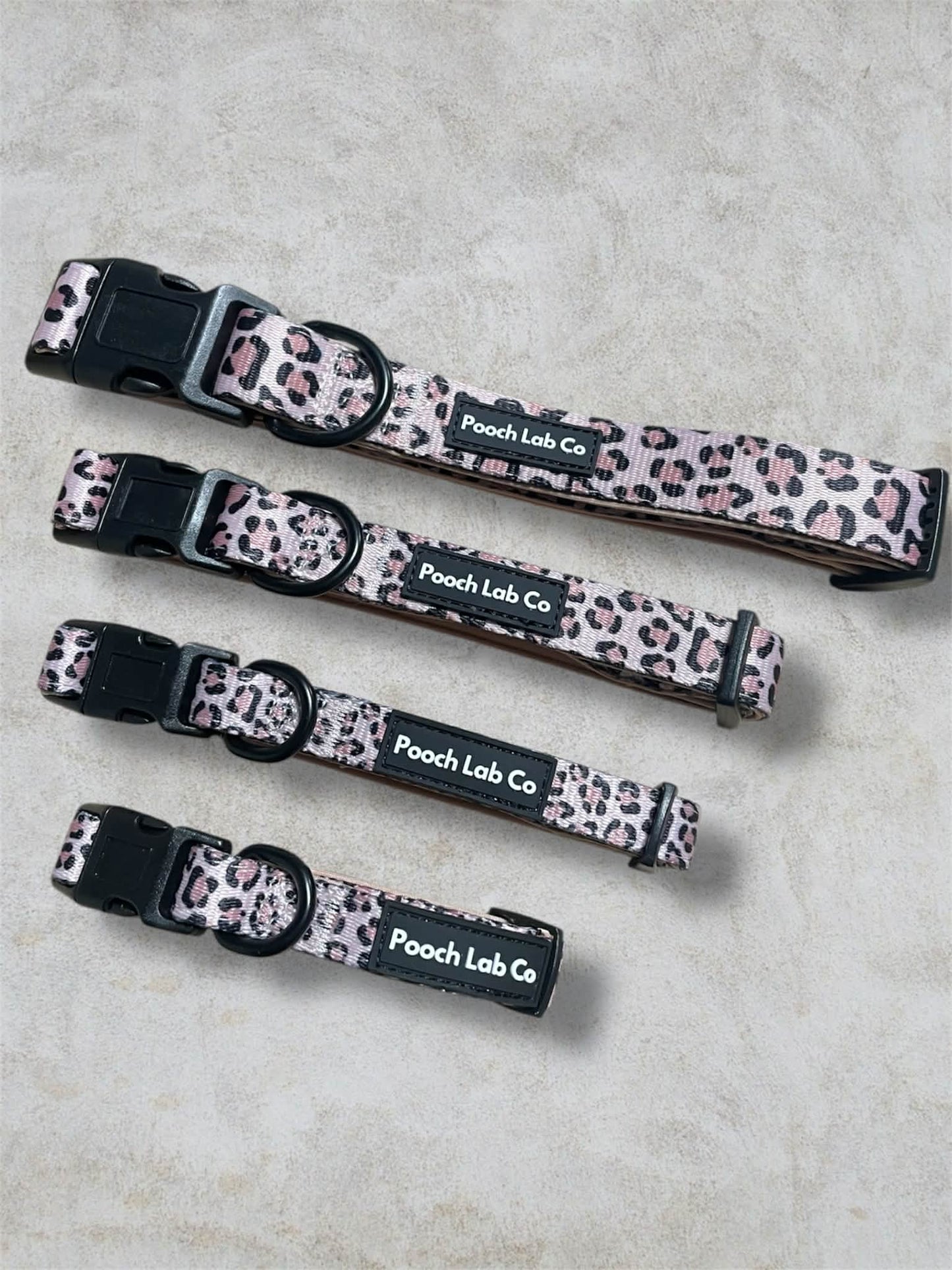 Savannah Style Dog Collar