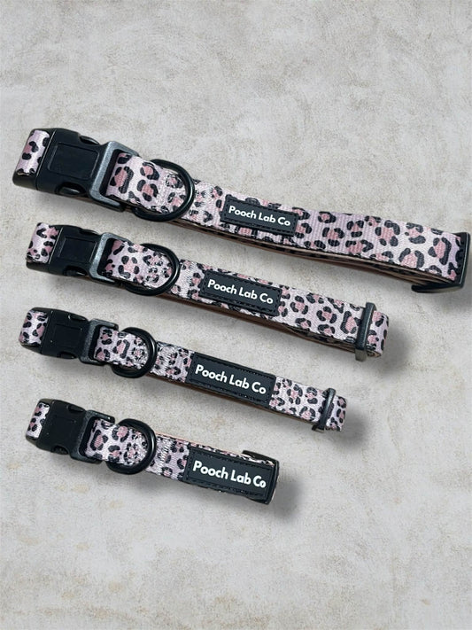 Savannah Style Dog Collar