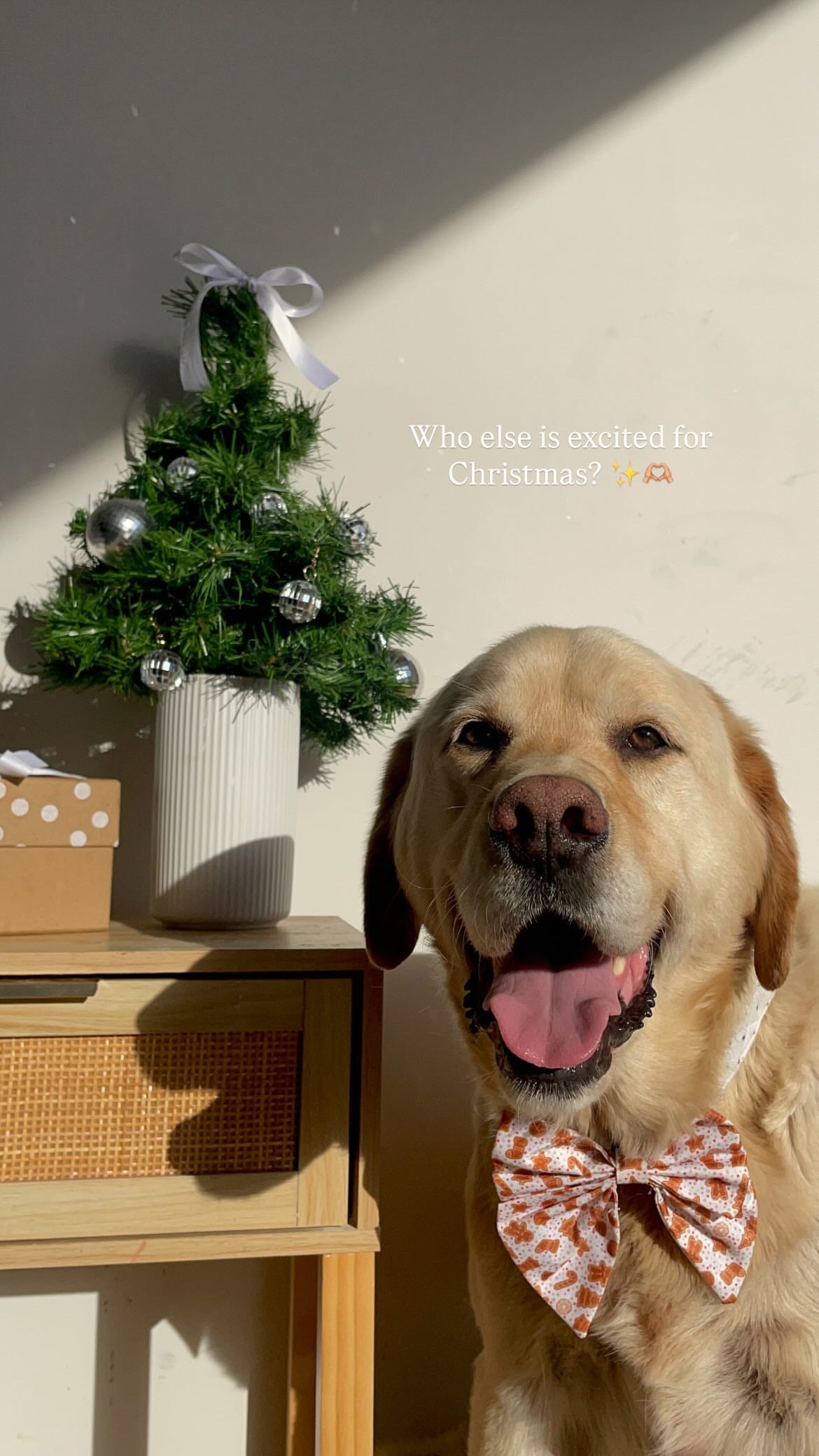 Gingerbread Christmas Bow