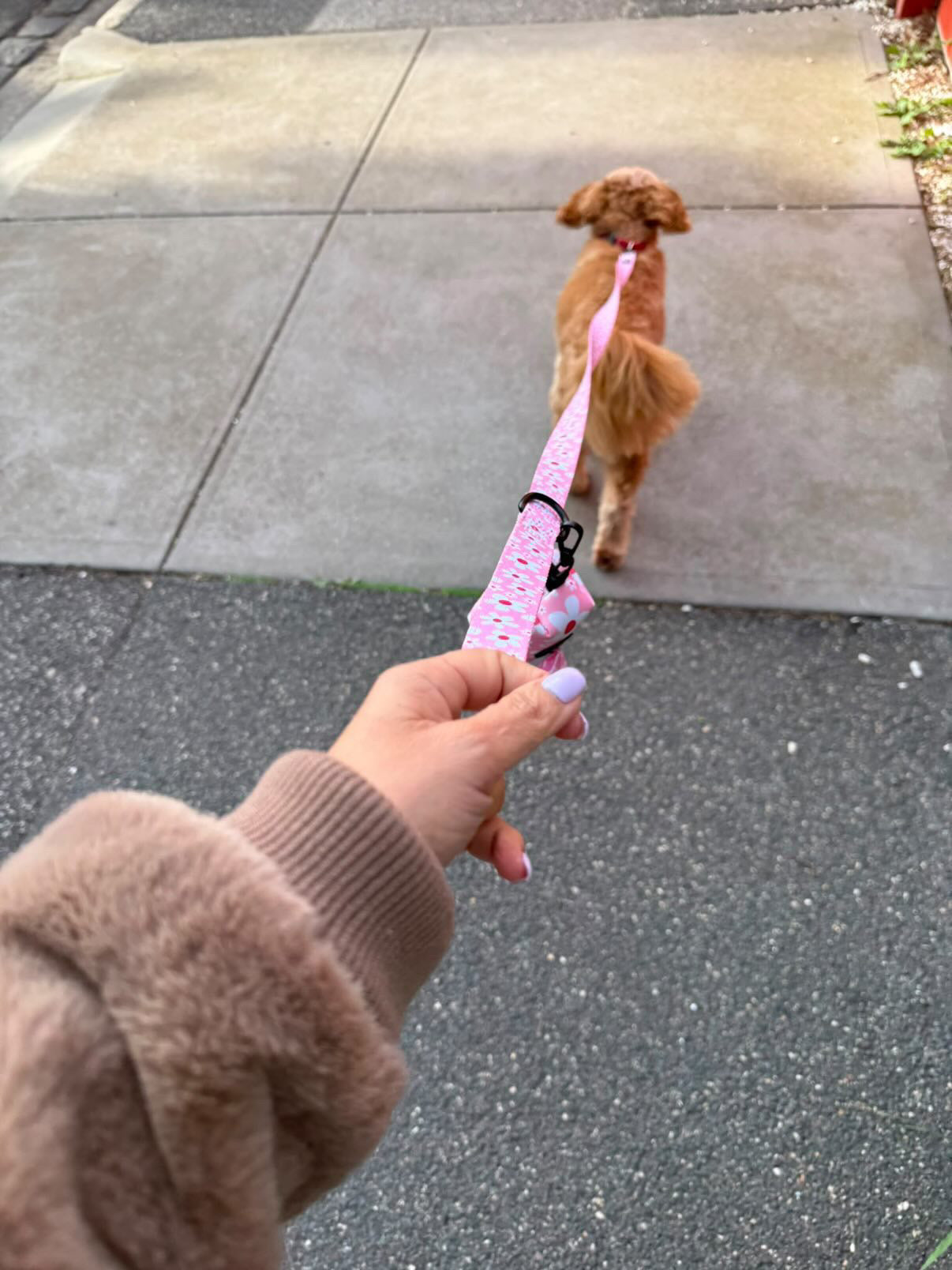 Juliet Dog Lead