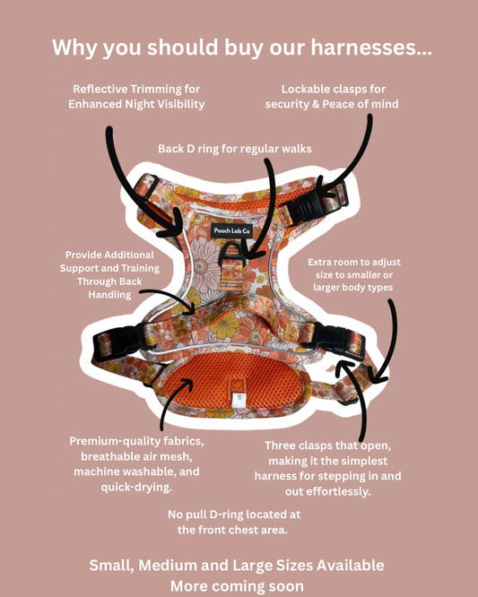 Autumn Floral Dog Harness