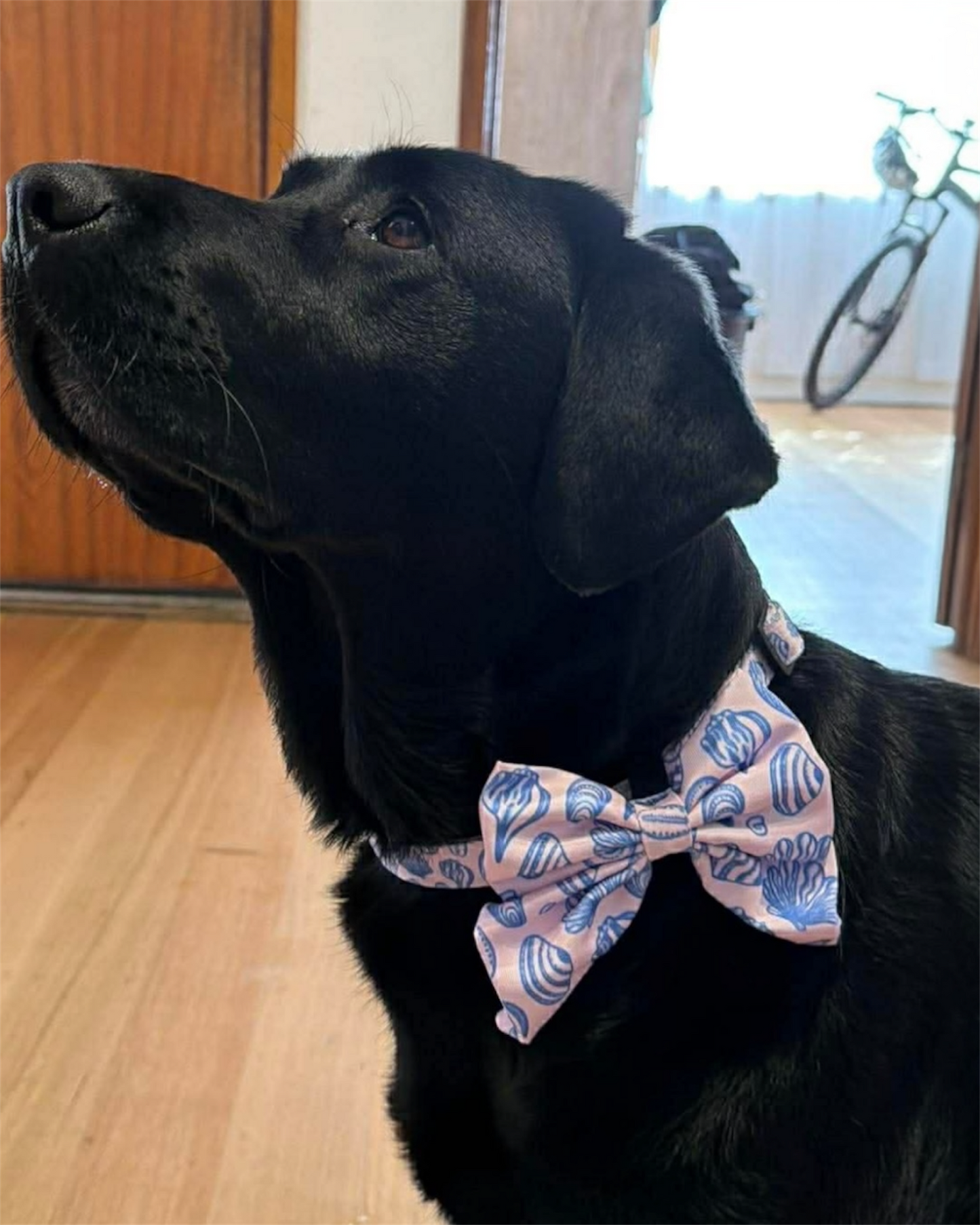 Seashells Sailor Bow Tie