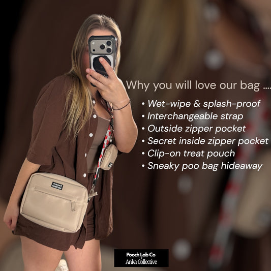 Pooch Walking Bag (Soft Ivory) - Mocha Gingham